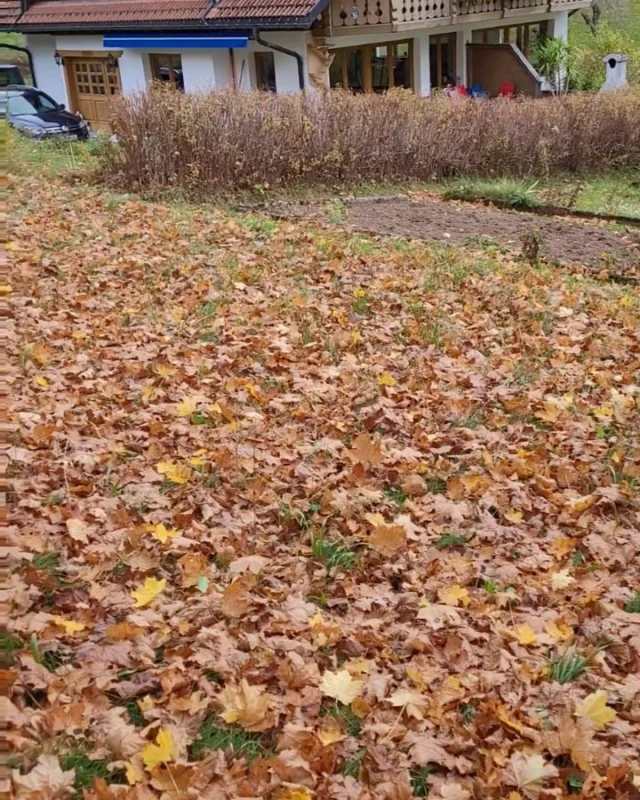 Herbst ❤️