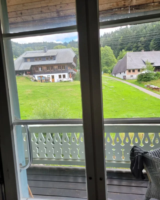 everyday view