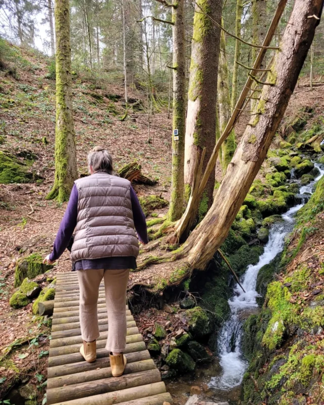 Update from.Yoga am Bach:  the snow has finally melted and we are ready for spring. The scenery around Yoga am Bach is beautiful any time of the year- this pretty waterfall is just a 3 minute walk from the house.#yogaambach #iyengaryoga #todtmoos #winterisgone #yoga #iyengar #schwarzwaldyoga #schwarzwald