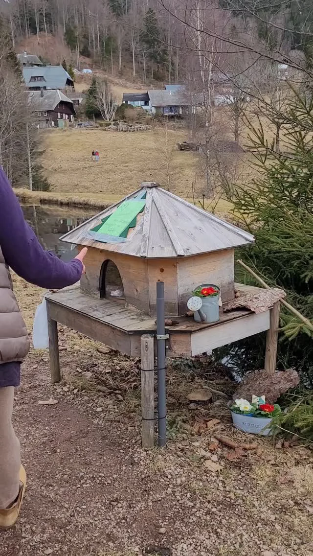 Recommendation of the day: Appreciate the unexpected! Here at Yoga am Bach there is always a little surprise waiting for you #yogaambach #iyengaryoga #todtmoos #winterisgone #yoga #iyengar #schwarzwaldyoga #schwarzwald