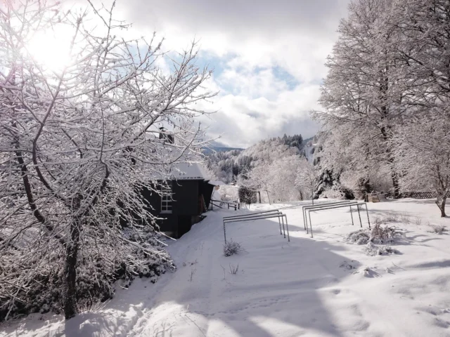 how winter is like at yoga am bach || part 3